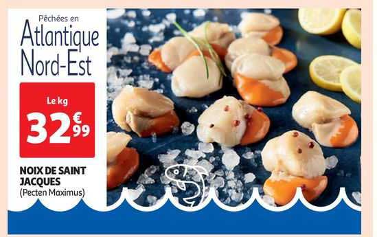 noix de saint jacques