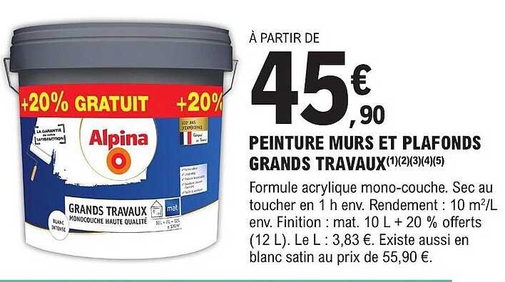 peinture murs et plafonds grands travaux alpina