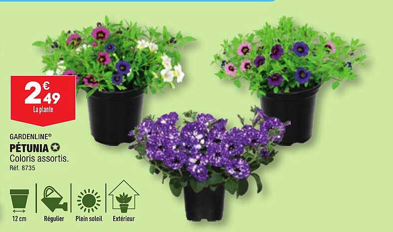 Pétunia Gardenline