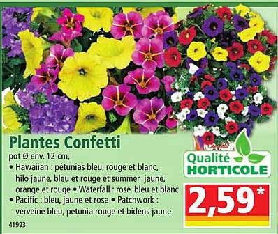 plantes confetti