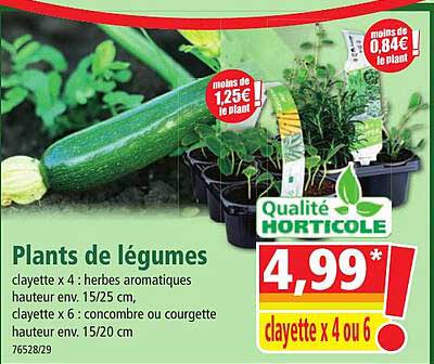plants de légumes