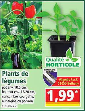 plants de légumes