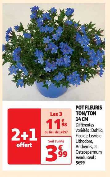 pot fleuris ton/ton 14 cm