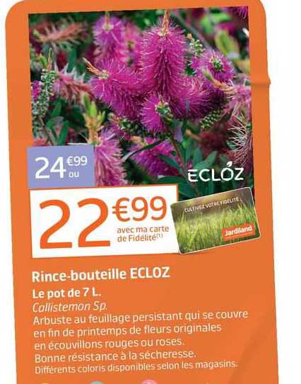 rince-bouteille ecloz