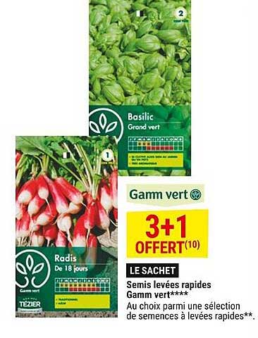 semis levées rapides gamm vert