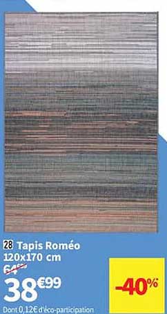 tapis roméo 120 x 170 cm