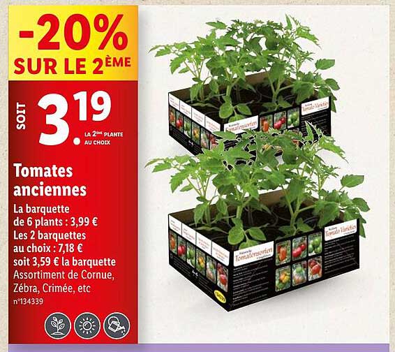 Tomates Anciennes