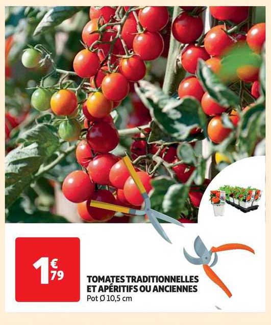 tomates traditionnelles et apéritifs ou anciennes