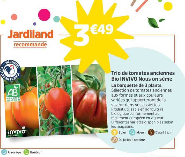 trio de tomates anciennes bio invivo nous on sème