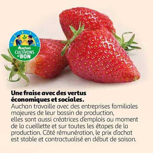 une fraise avec des vertus économiques et sociales