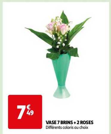 vase 7 brins + 2 roses