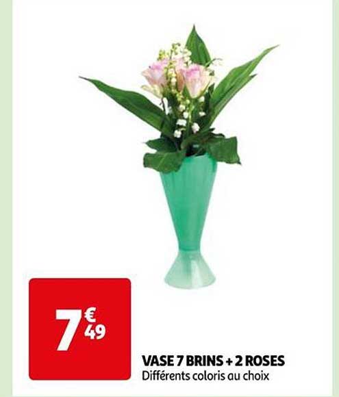 vase 7 brins + 2 roses