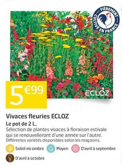 vivaces fleuries ecloz