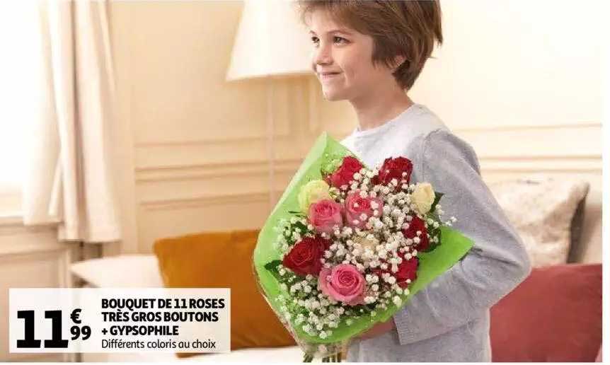 bouquet de 11 roses très gros boutons + gypsophile