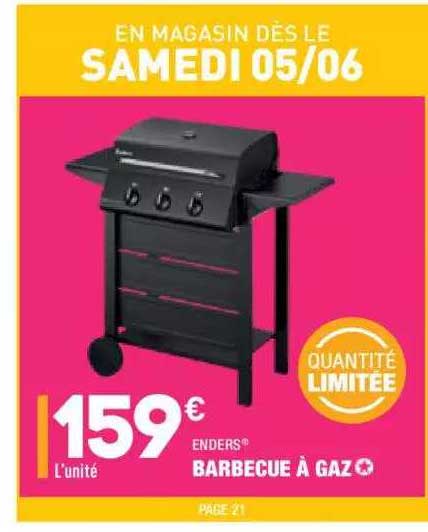 enders barbecue a gaz