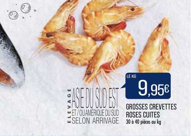 Grosses Crevettes Roses Cuites