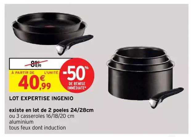 Lot Expertise Ingenio