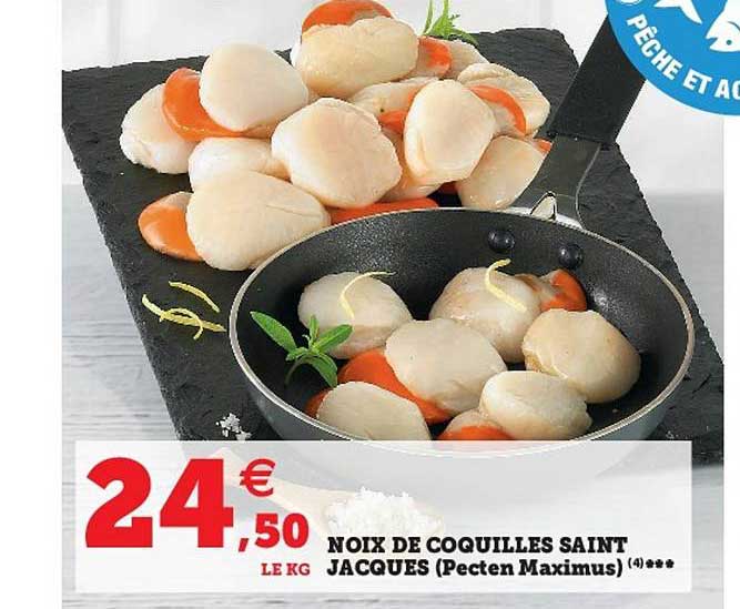 Noix De Coquilles Saint Jacques Pecten Maximus