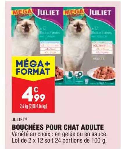 Bouchées Pour Chat Adulte Juliet