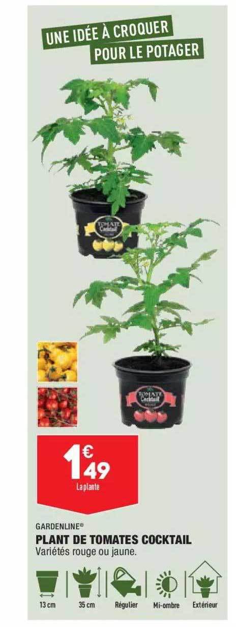 plant de tomates cocktail gardenline