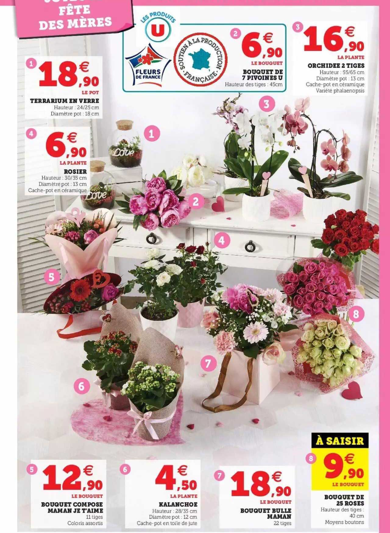 terrarium en verre, rosier, orchidée 2 tiges, bouquet composé "maman je t'aime", kalanchoe, bouquet bulle maman, bouquet de 25 roses