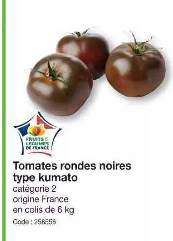 tomates rondes noires type kumato