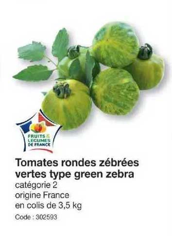 tomates rondes zébrées vertes type green zebra