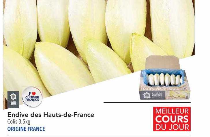 endive des hauts-de-france