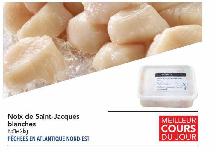 noix de saint-jacques blanches