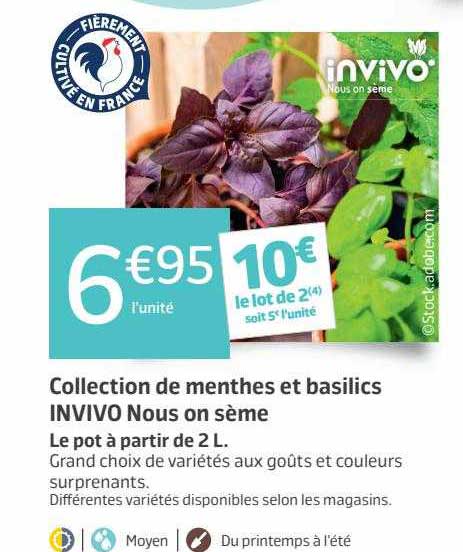 collection de menthes et basilics invivo nous on sème