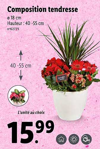 composition tendresse