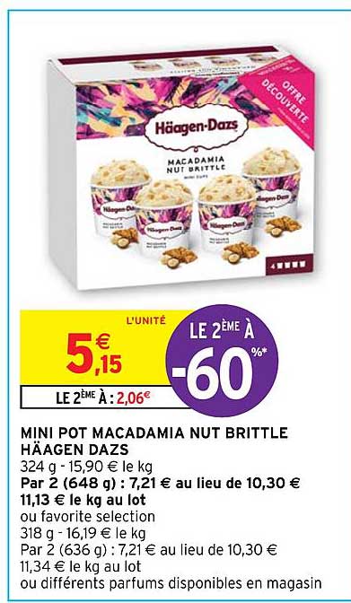 mini pot macadamia nut brittle häagen dazs