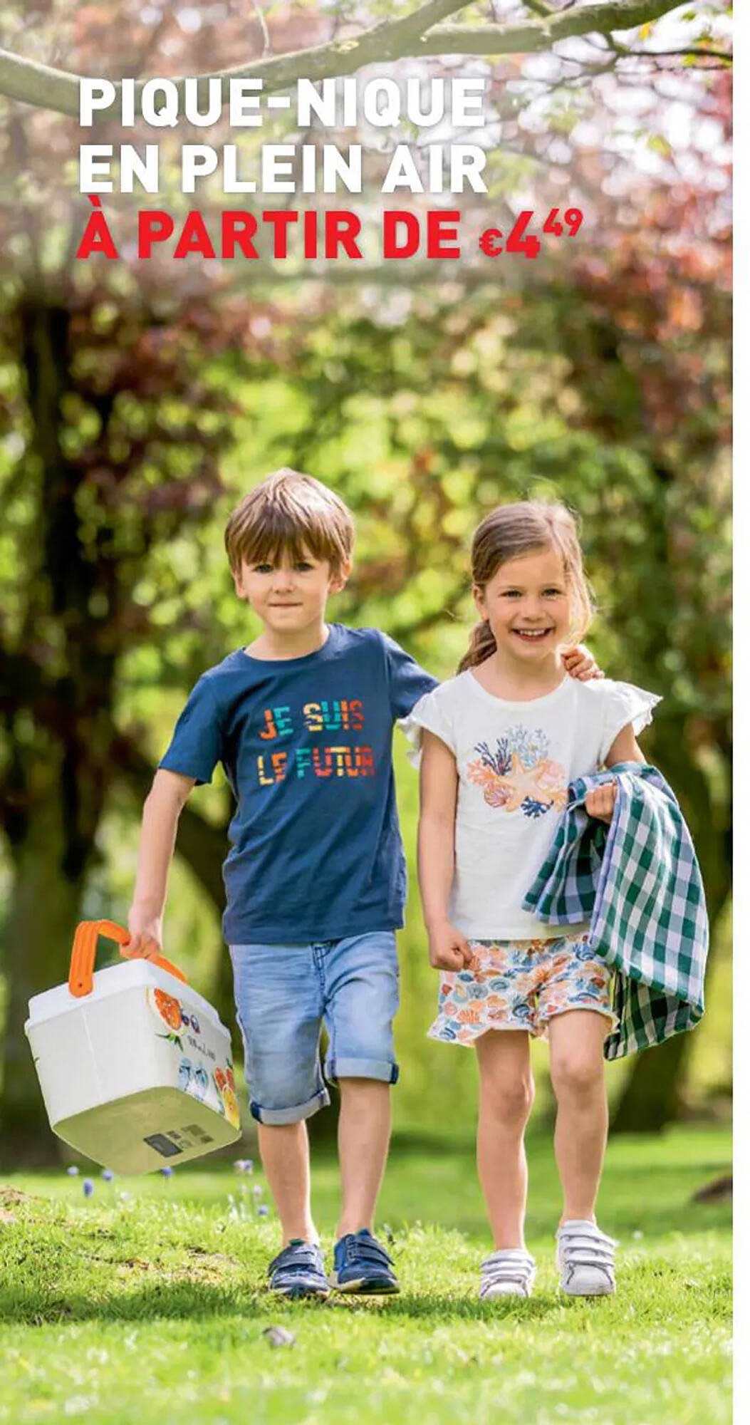 pique-nique en plein air