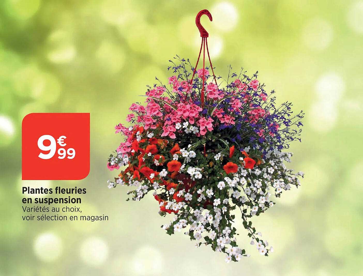 plantes fleuries en suspension