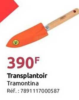 Transplantoir