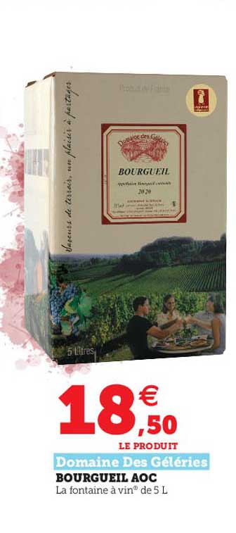 bourgueil aoc domaine des géléries