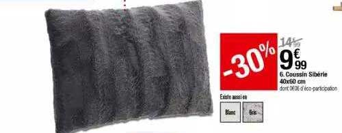 coussin sibérie 40 x 60 cm