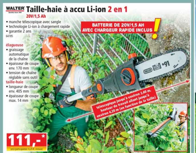 walter taille-haie à accu li-ion 2 en 1