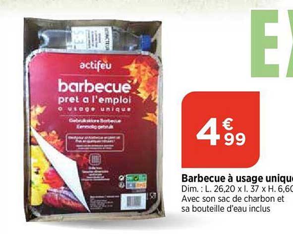 barbecue à usage unique