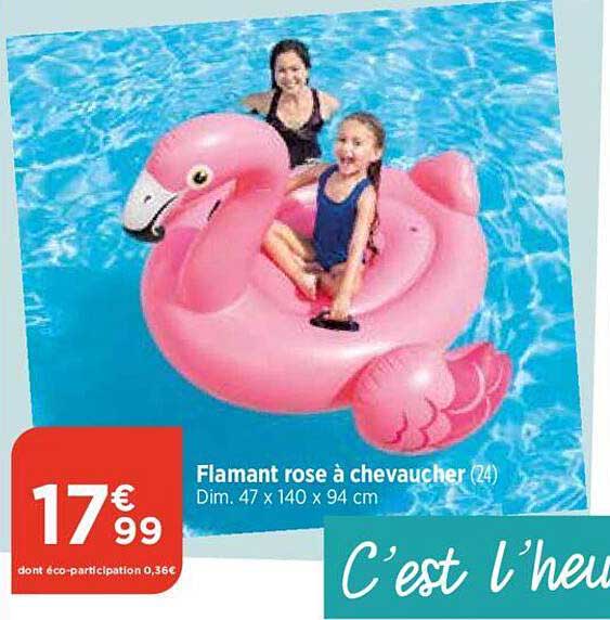 flamant rose à chevaucher