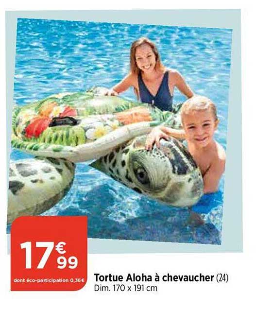 tortue aloha à chevaucher