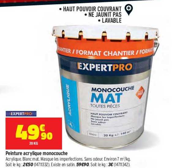 Peinture Acrylique Monocouche Expertpro
