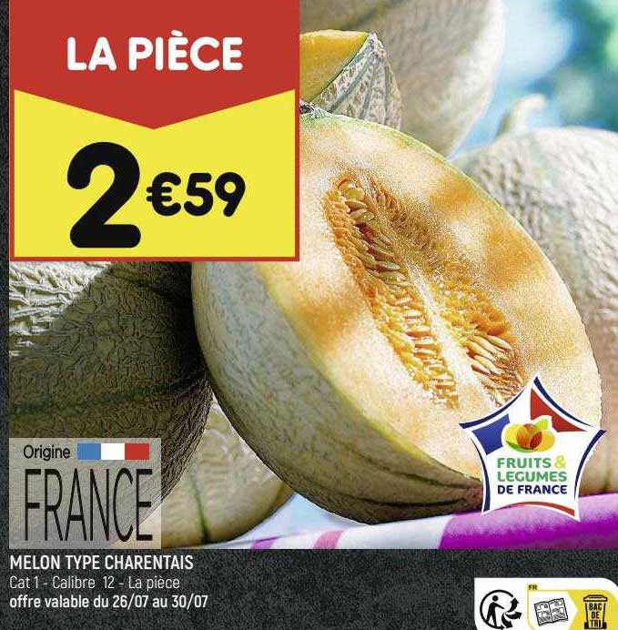 Melon Type Charentais