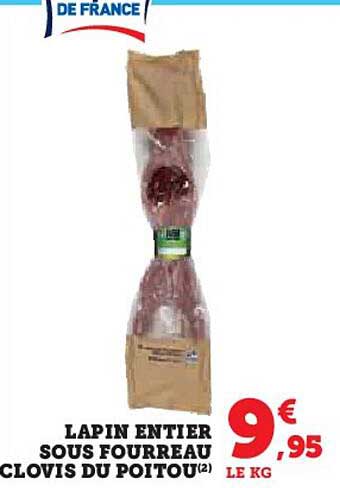 lapin entier sous fourreau clovis du poitou