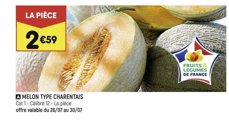 melon type charentais
