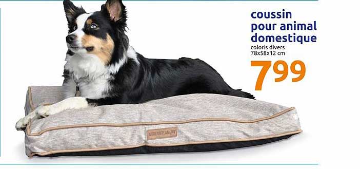 coussin pour animal domestique