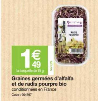 graines germées d'alfalfa et de radis pourpre bio