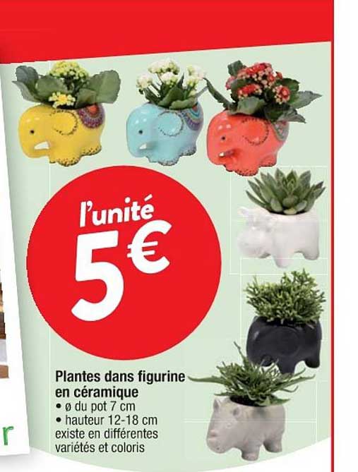 plantes dans figurine en céramique