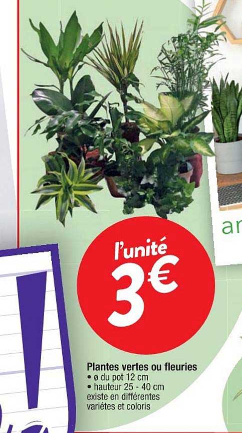 plantes vertes ou fleuries