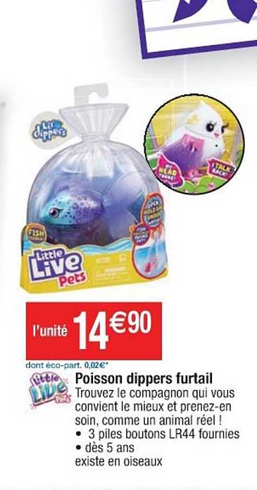 poisson dippers furtail little live pets